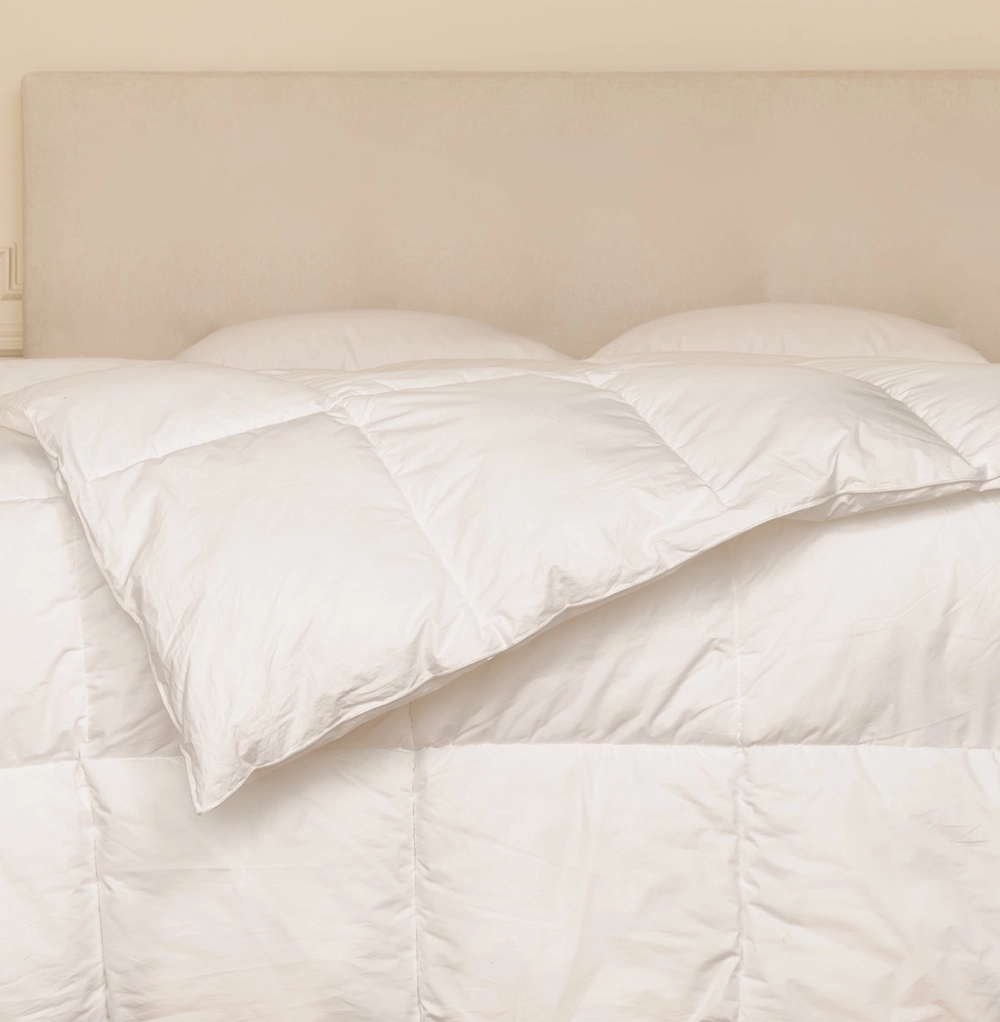 Couette Légère en Duvet de Canard