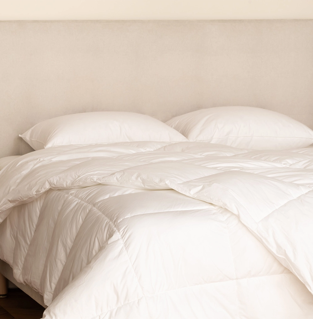 Down Duvet